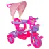 Picture of Kids bicycle with umbrella