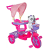 Şemsiyeli Çocuk Üç Tekerlekli Bisikleti resmi