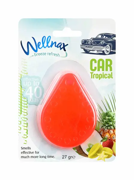 Picture of Refreshing car freshener with tropical fruits scent 27 gr