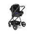 Picture of PASSIFIC TRAVEL Stroller