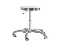 Picture of Stainless Stell Anatomy Stool