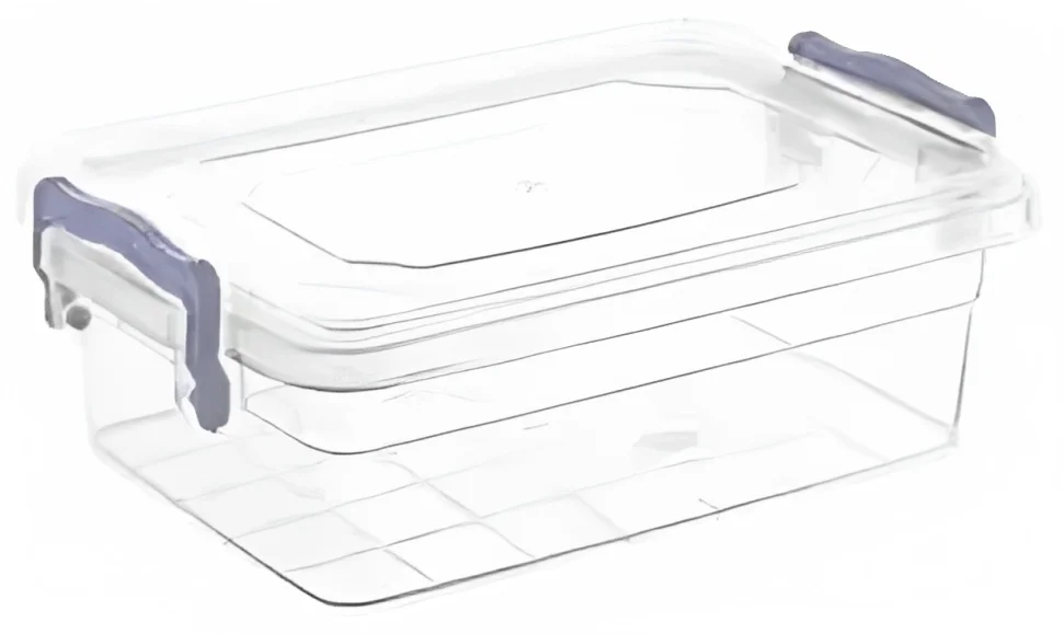 Picture of 650 cc Storage Boxes with Lid