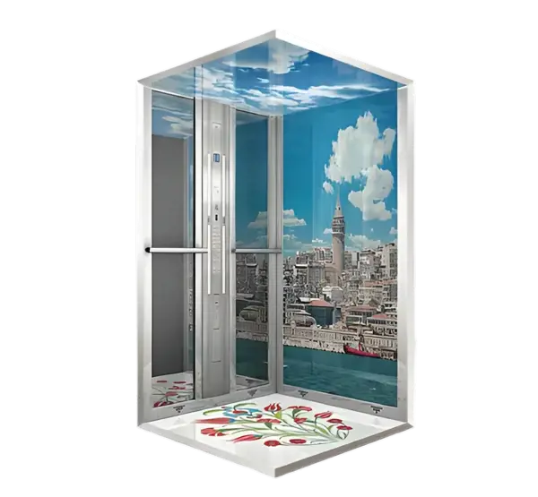 Picture of Patterned Glass Elevator Cabinet