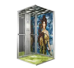Show details for Patterned Glass Elevator Cabinet Tarik