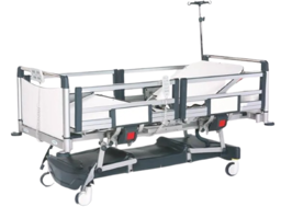 Show details for   Twin motor patient bed Tarik