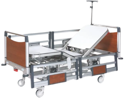 Show details for Twin motor patient care bed Tarik