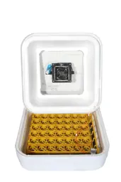 Show details for 42 Egg Capacity Hobby Incubator Tarik