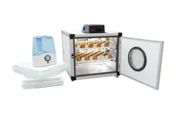 Show details for 126 Eggs Capacity Combined Incubator Tarik