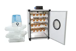 Show details for 250 Eggs Capacity Combined Incubator Tarik