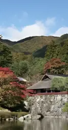 Show details for Elevator Glass Cladding Design Tarik