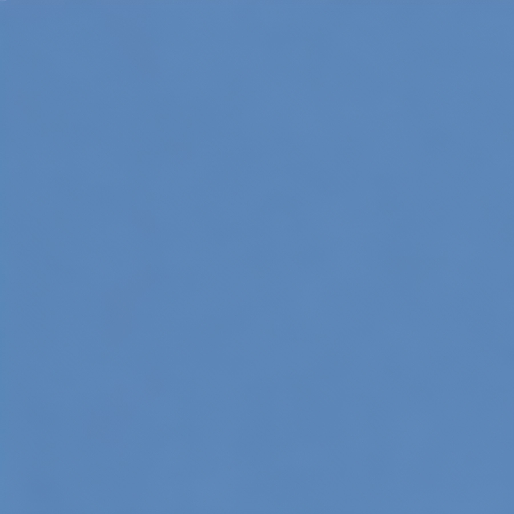 Tarik