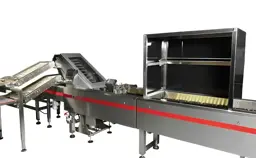 Show details for Egg checking machine - 6 rows Tarik